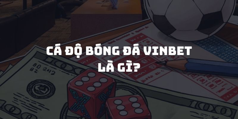 Cá độ bóng đá Vinbet là gì?