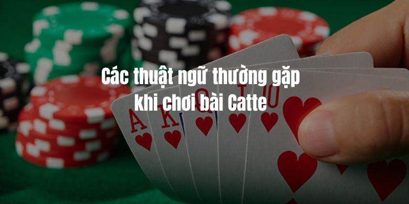 Các thuật ngữ thường gặp khi chơi bài Catte