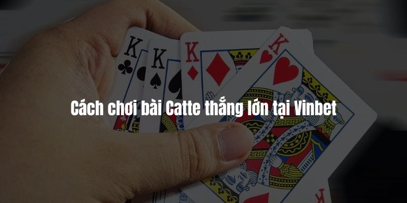 Cách chơi bài Catte chuẩn nhất tại Vinbet