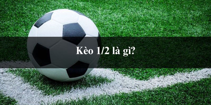 Kèo 1/2 là gì?