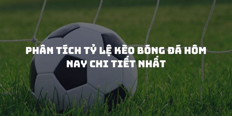 Phân tích tỷ lệ kèo bóng đá hôm nay chi tiết nhất