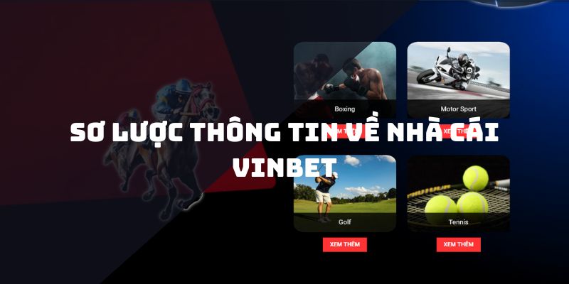 Sơ lược thông tin về nhà cái Vinbet