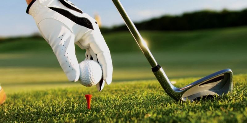 Cách chơi cá cược golf thắng nhiều tiền thưởng cho người mới