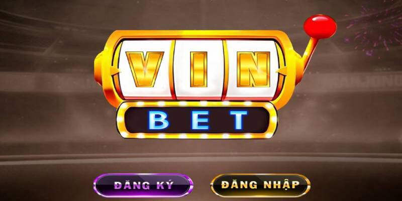 Giải đáp những thắc mắc khi đăng ký Vinbet 