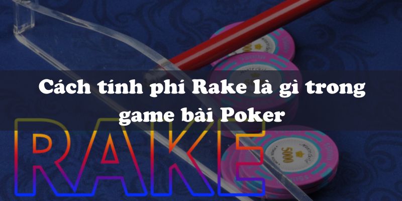 Cách tính phí Rake là gì trong game bài Poker