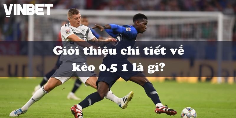 Giới thiệu chi tiết về kèo 0.5 1 là gì?